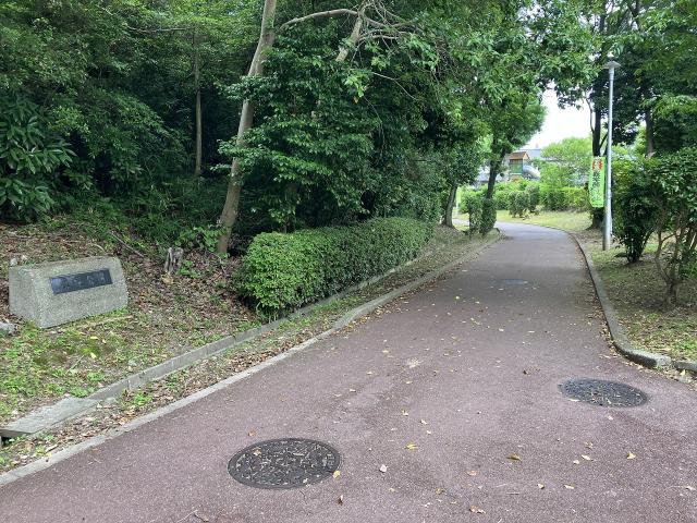 槇塚公園 350m 写真撮影日：2025-06-09