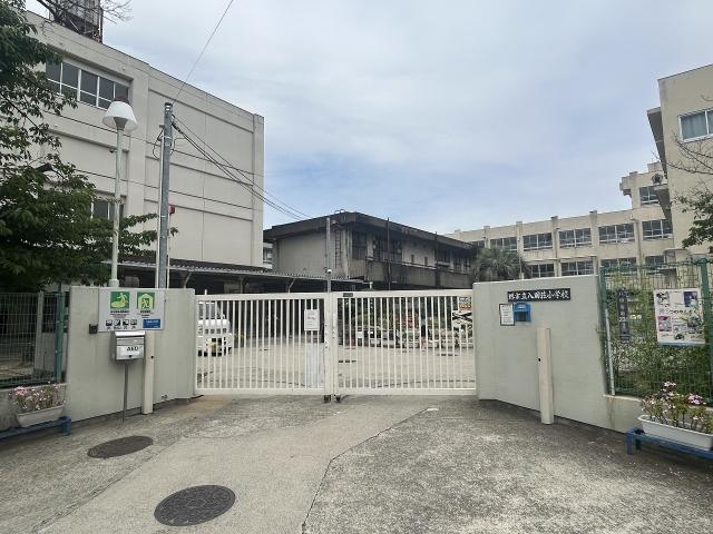堺市立八田荘小学校 1100m 写真撮影日：2025-06-20