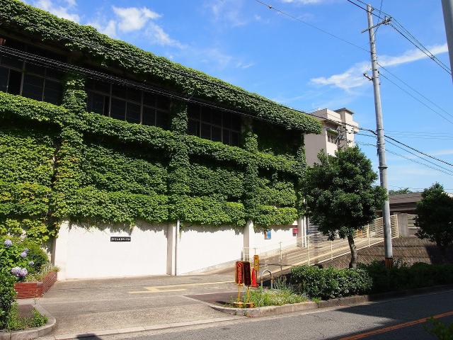 東豊台小学校 270m 写真撮影日：2025-07-03