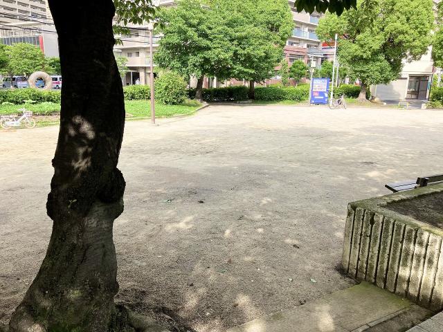 善源寺楠公園 350m 写真撮影日：2025-07-05