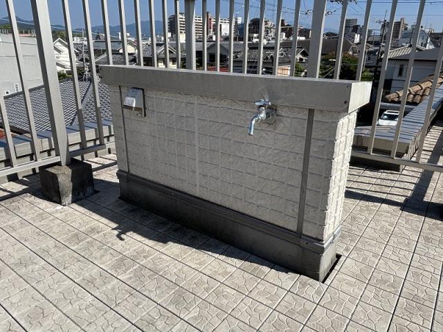 その他  写真撮影日：2025-08-04