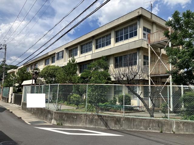 羽曳野白鳥小学校 310m 写真撮影日：2025-07-12