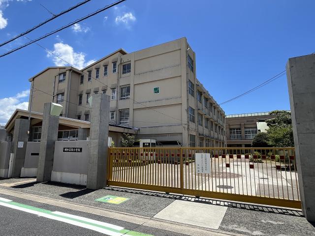 堺市立錦小学校 460m 写真撮影日：2025-07-26