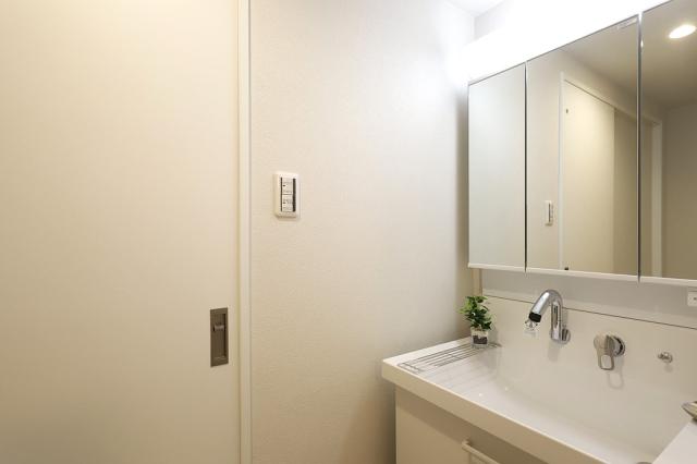 洗面台・洗面所  写真撮影日：2025-09-01