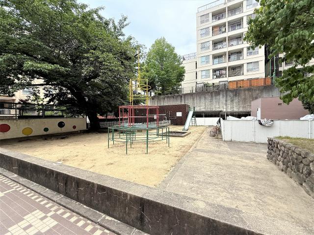 その他現地  写真撮影日：2025-08-08