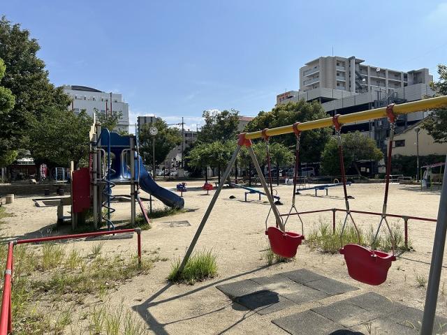 その他  写真撮影日：2025-08-08