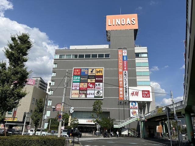 その他  写真撮影日：2025-08-08