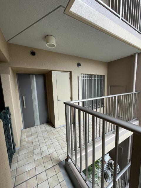 その他  写真撮影日：2025-08-10