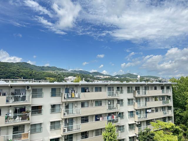 住戸からの眺望写真  写真撮影日：2025-08-10