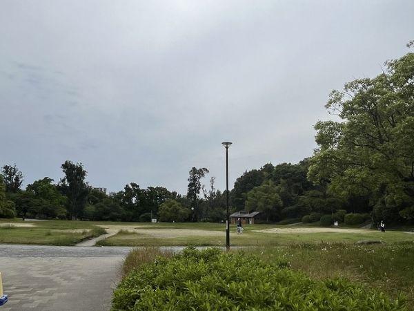 千里南公園 120m 写真撮影日：2025-08-22