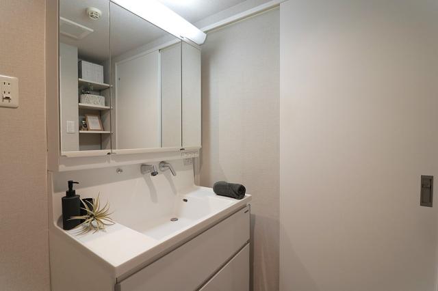 洗面台・洗面所  写真撮影日：2025-11-01