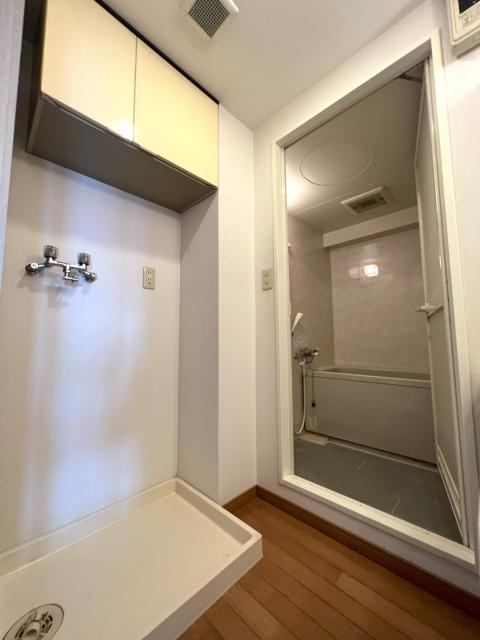 洗面台・洗面所  写真撮影日：2025-11-12