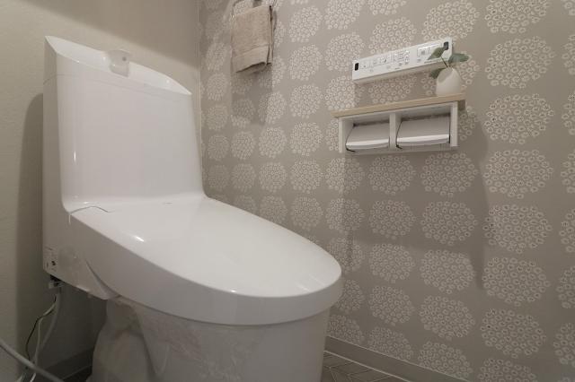 トイレ  写真撮影日：2025-11-15