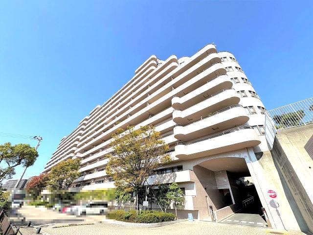 現地外観写真  写真撮影日：2025-11-16