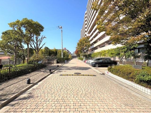 駐車場(共用設備)  写真撮影日：2025-11-16