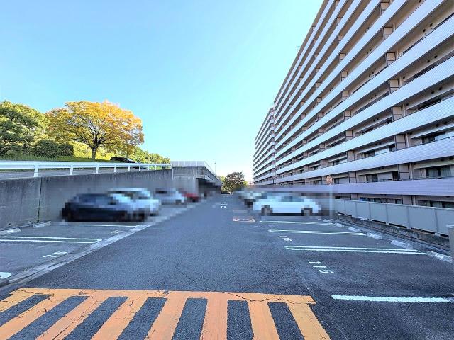 駐車場(共用設備)  写真撮影日：2025-11-16