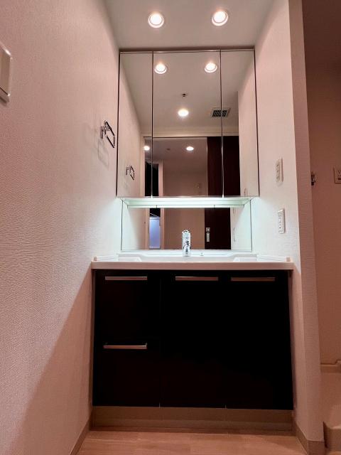 洗面台・洗面所  写真撮影日：2025-11-15