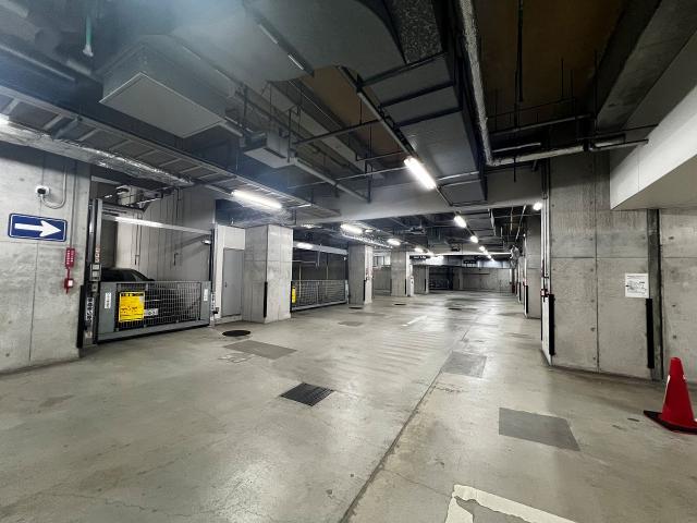 駐車場(共用設備)  写真撮影日：2025-11-15