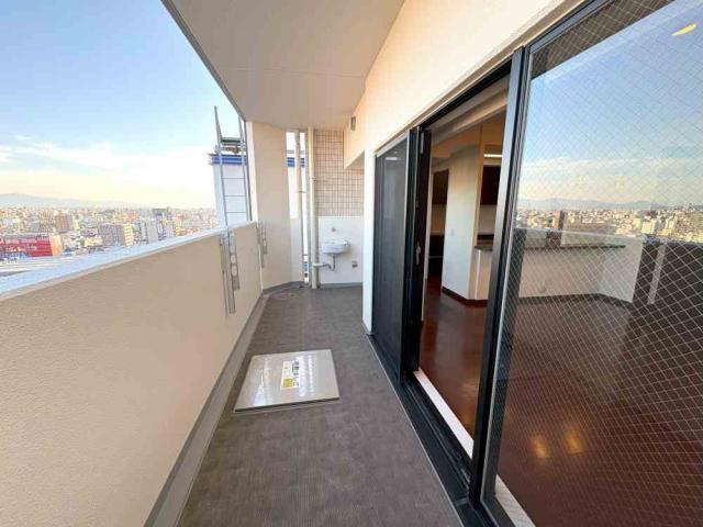 バルコニー  写真撮影日：2025-11-16