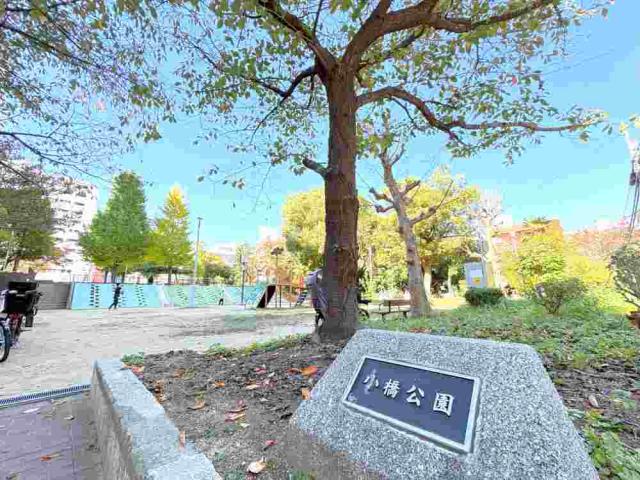 小橋公園 480m 写真撮影日：2025-11-16