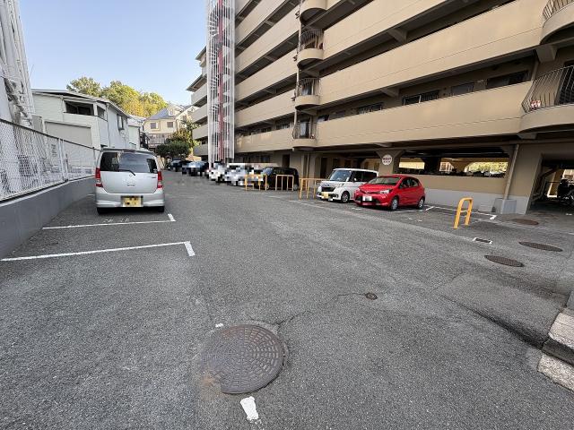 駐車場(共用設備)  写真撮影日：2025-11-16