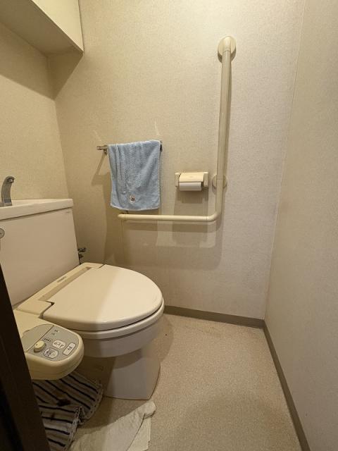 トイレ  写真撮影日：2025-11-15