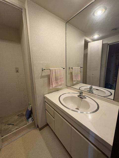 洗面台・洗面所  写真撮影日：2025-11-15