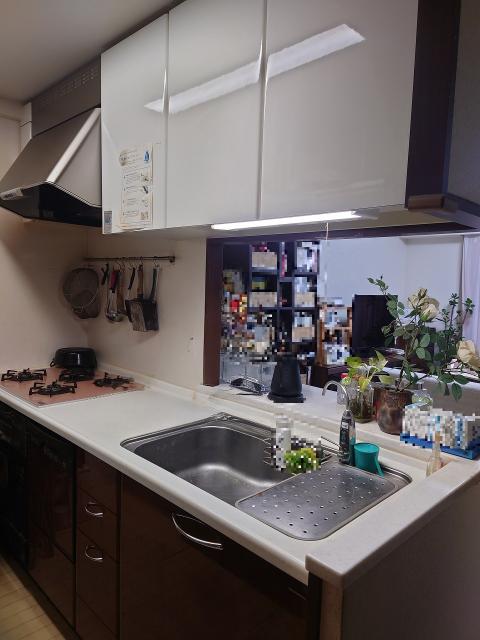 キッチン  写真撮影日：2025-11-22