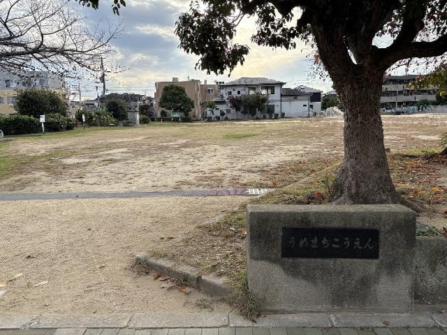梅町公園 60m 写真撮影日：2025-11-23