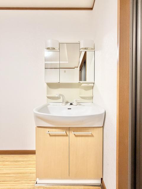 洗面台・洗面所  写真撮影日：2025-12-01