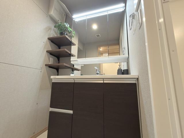 洗面台・洗面所  写真撮影日：2026-01-29