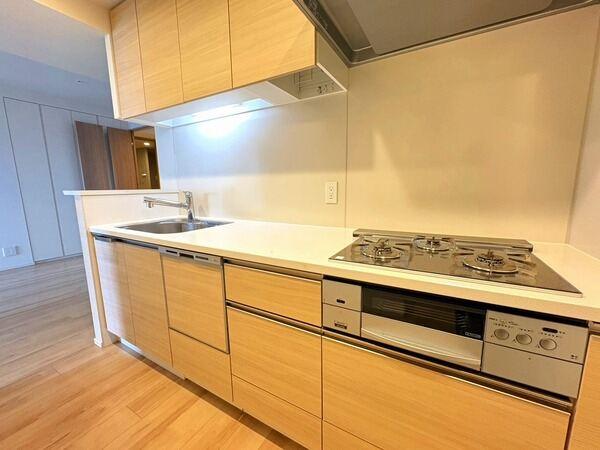 竹中工務店の「Super Flex Wall」が採用された、地上55階建、免震構造のマンションです。