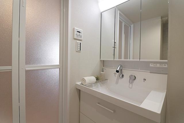 洗面台・洗面所  写真撮影日：2026-01-01