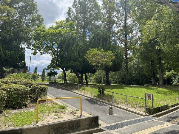 津雲台公園 180m 写真撮影日：2026-01-11