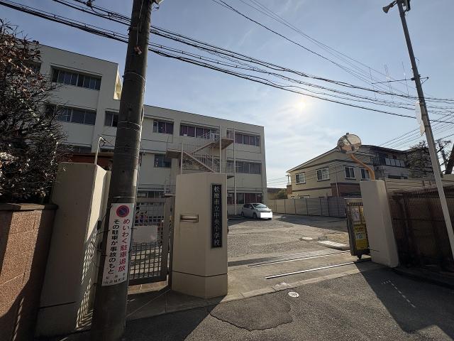 松原市立中央小学校 800m 写真撮影日：2026-02-13