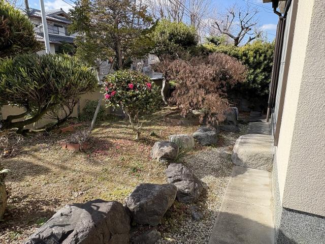 庭  写真撮影日：2026-02-20
