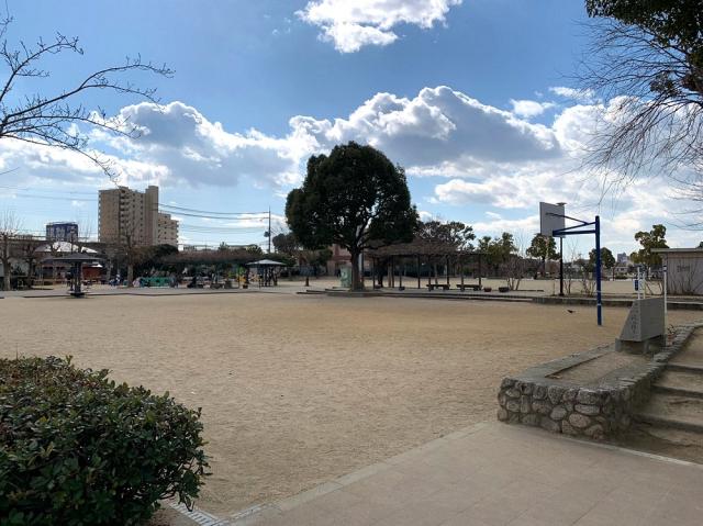 市場池公園 250m 写真撮影日：2026-03-07