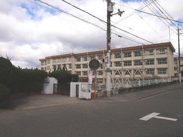 豊中市立第十一中学校 800m 写真撮影日：2026-03-28