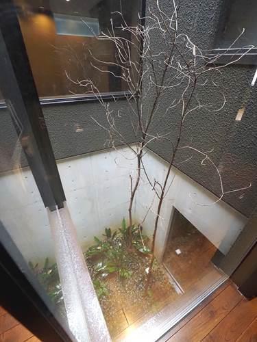 ２階＿吹き抜け