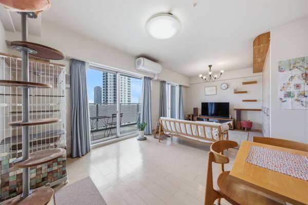 販売対象に家具・調度品は含まれません