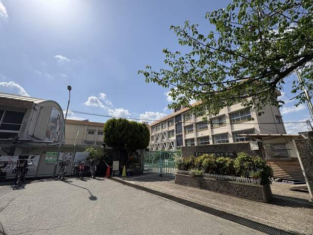 豊中市立刀根山小学 710m 写真撮影日：2026-04-26