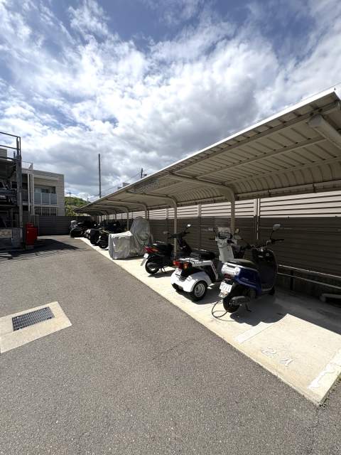 その他  写真撮影日：2026-05-01