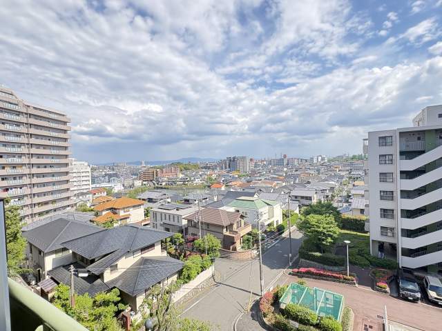 その他  写真撮影日：2026-05-15