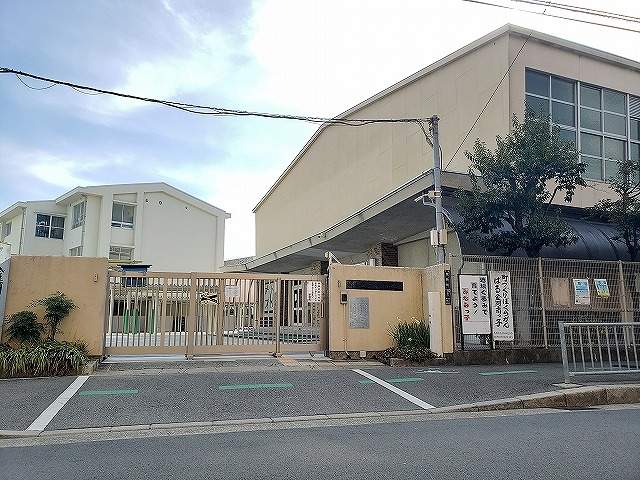 堺市立金岡南小学校 720m 写真撮影日：2026-05-16