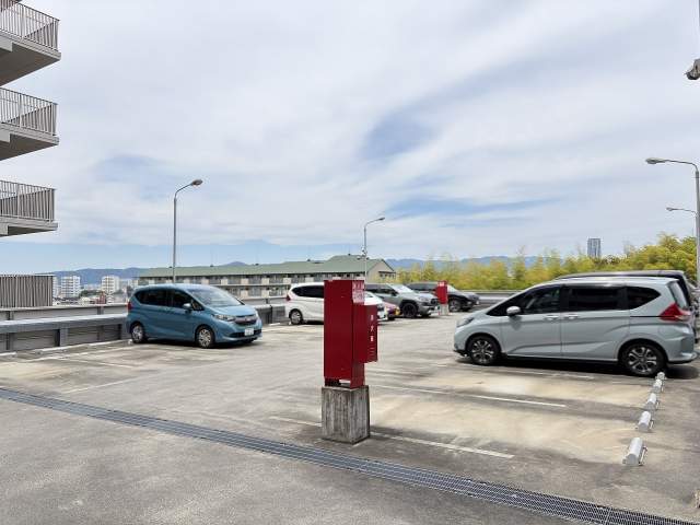 駐車場(共用設備)  写真撮影日：2026-05-31