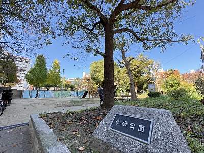 小橋公園 480m 写真撮影日：2026-07-01