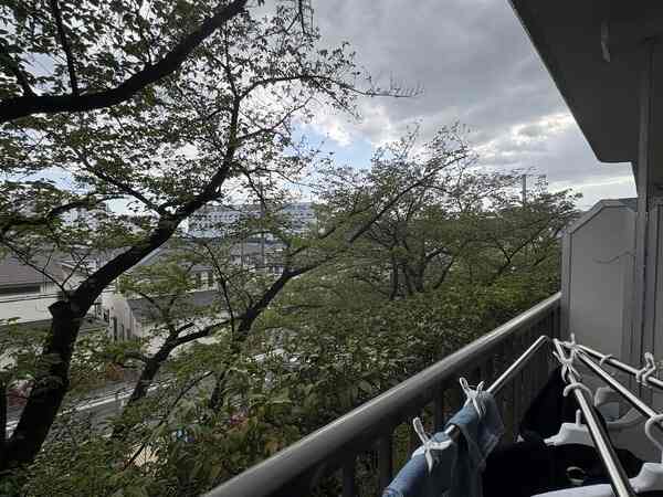 前面道路沿いには緑豊かな植栽が配され、自然を身近に感じられます。気分をリフレッシュできそうです。