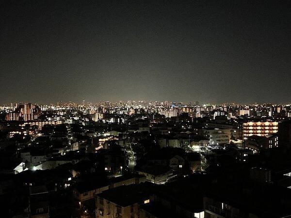 昼夜で表情を変える景色。南側と東側には低層住宅が広がっており、開放感のある眺望です(天候による)。
