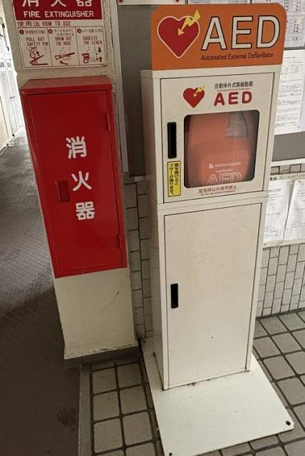 その他  写真撮影日：2026-09-06