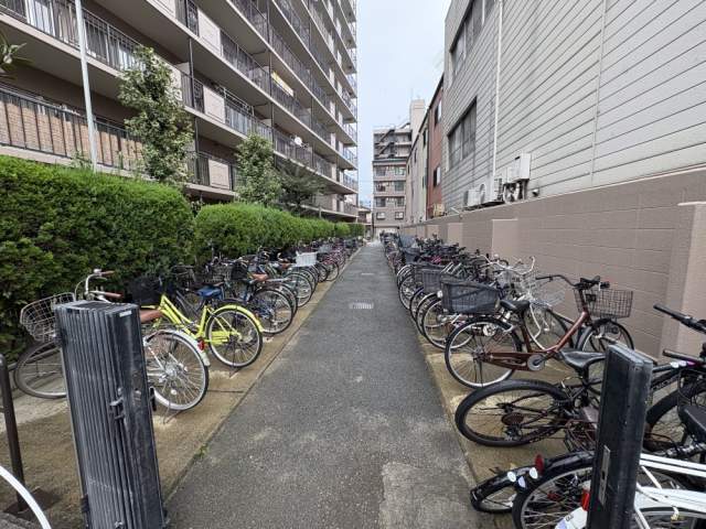 駐車場(共用設備)  写真撮影日：2026-09-12
